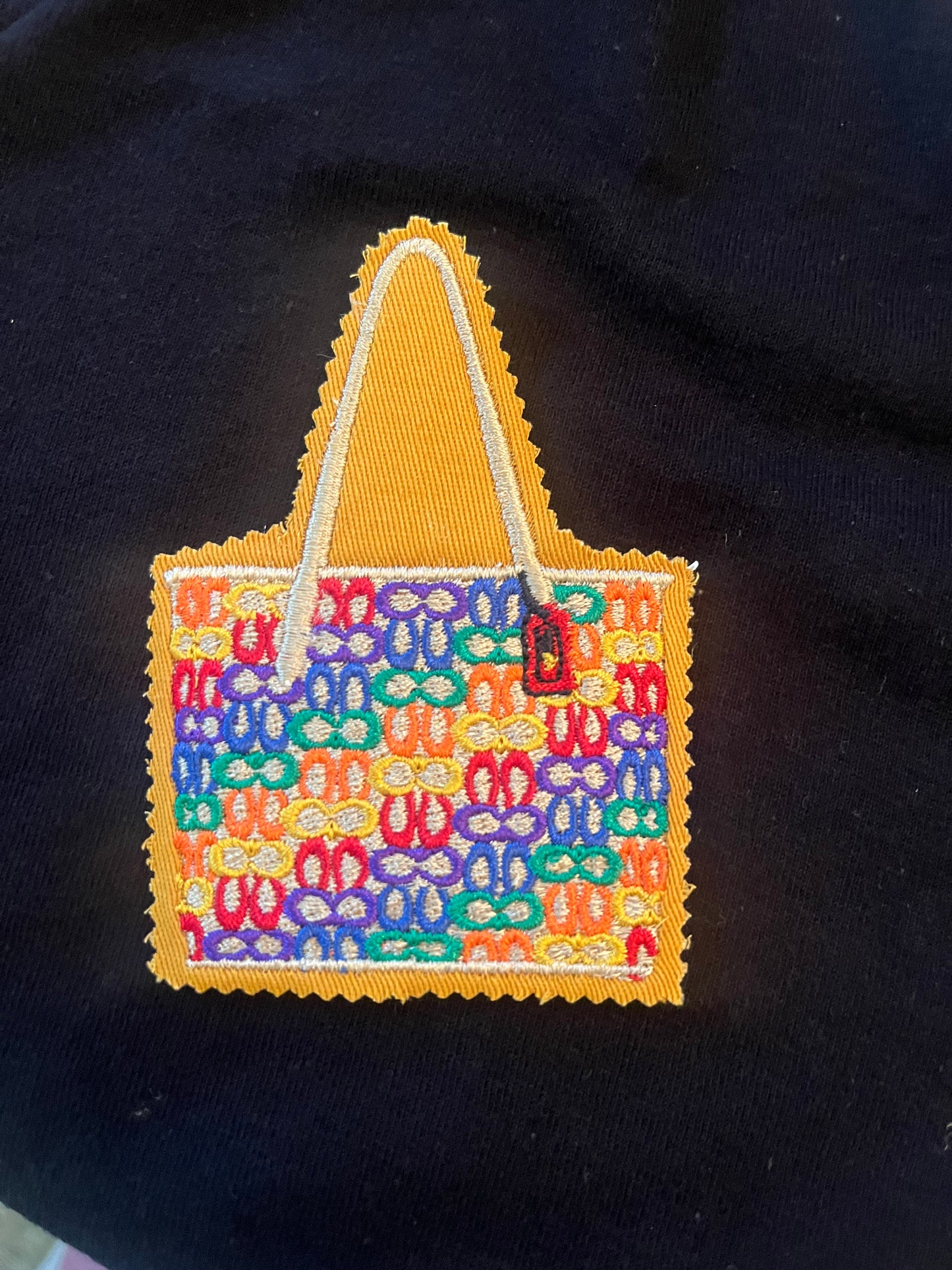Coach Rainbow purse