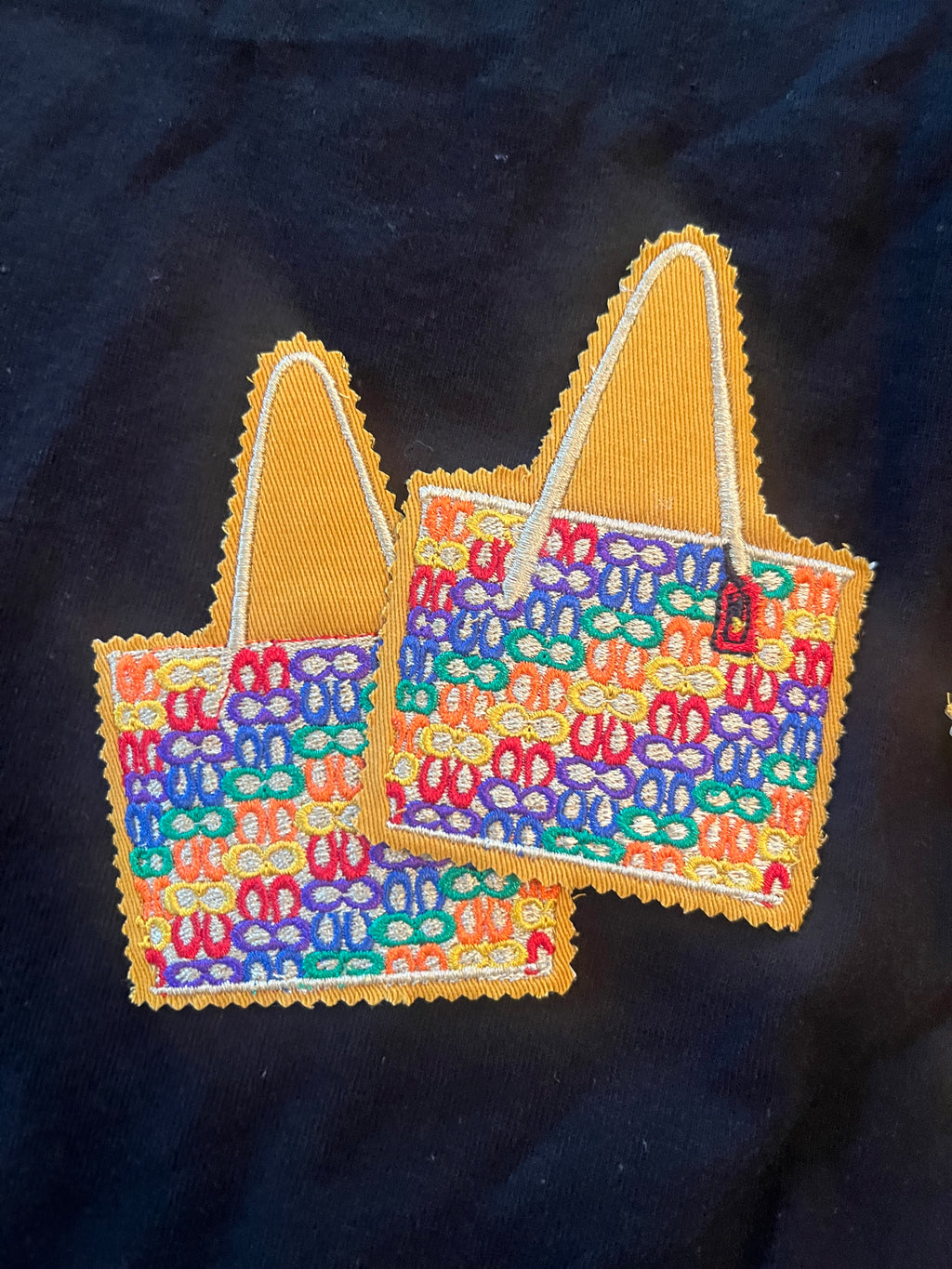Coach Rainbow purse